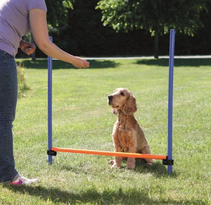 Trixie-Hund Aktivität Agility-Horde Blau / Orange
