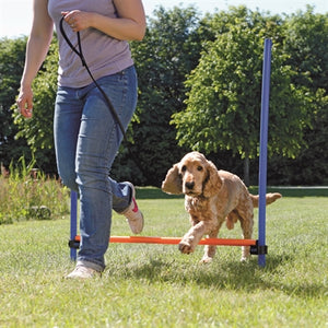 Trixie-Hund Aktivität Agility-Horde Blau / Orange