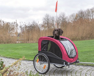Trixie-Hundefahrrad-Anhänger Schwarz / Rot