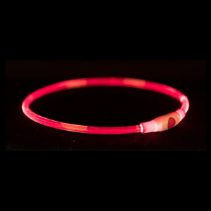 Trixie Leuchtkragen Usb Blitzlicht Wiederaufladbar Tpu Rot