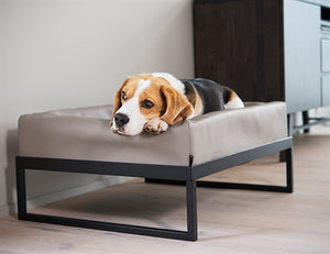 Bia Bett Schwarz