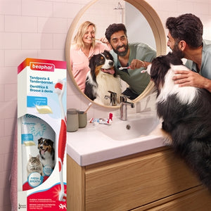 Beaphar Und Bürste Kombi-Packung