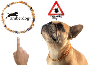 Hunde Bernsteinkette Lapislazuli – Ansicht 3