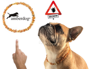 Hunde Bernsteinkette Sonne – Ansicht 3
