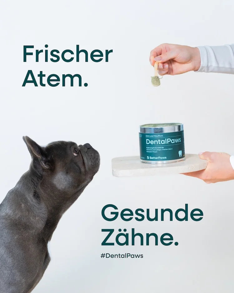 DentalPaws für Hunde – Ansicht 2