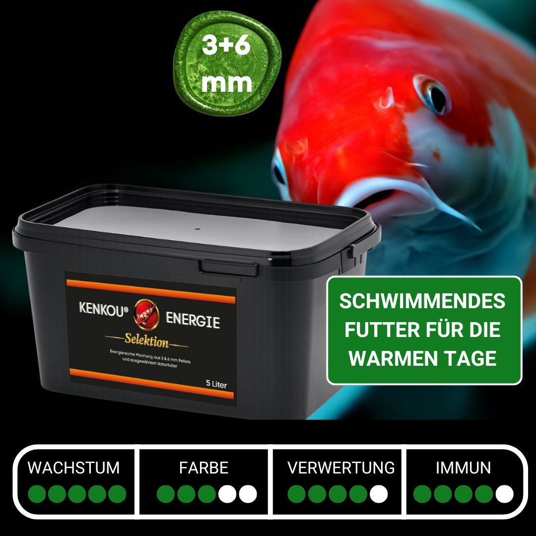 KENKOU® -Selektion- ENERGIE 10 Liter -mit Mehlwürmern, Seidenraupen, Gammarus – Ansicht 2