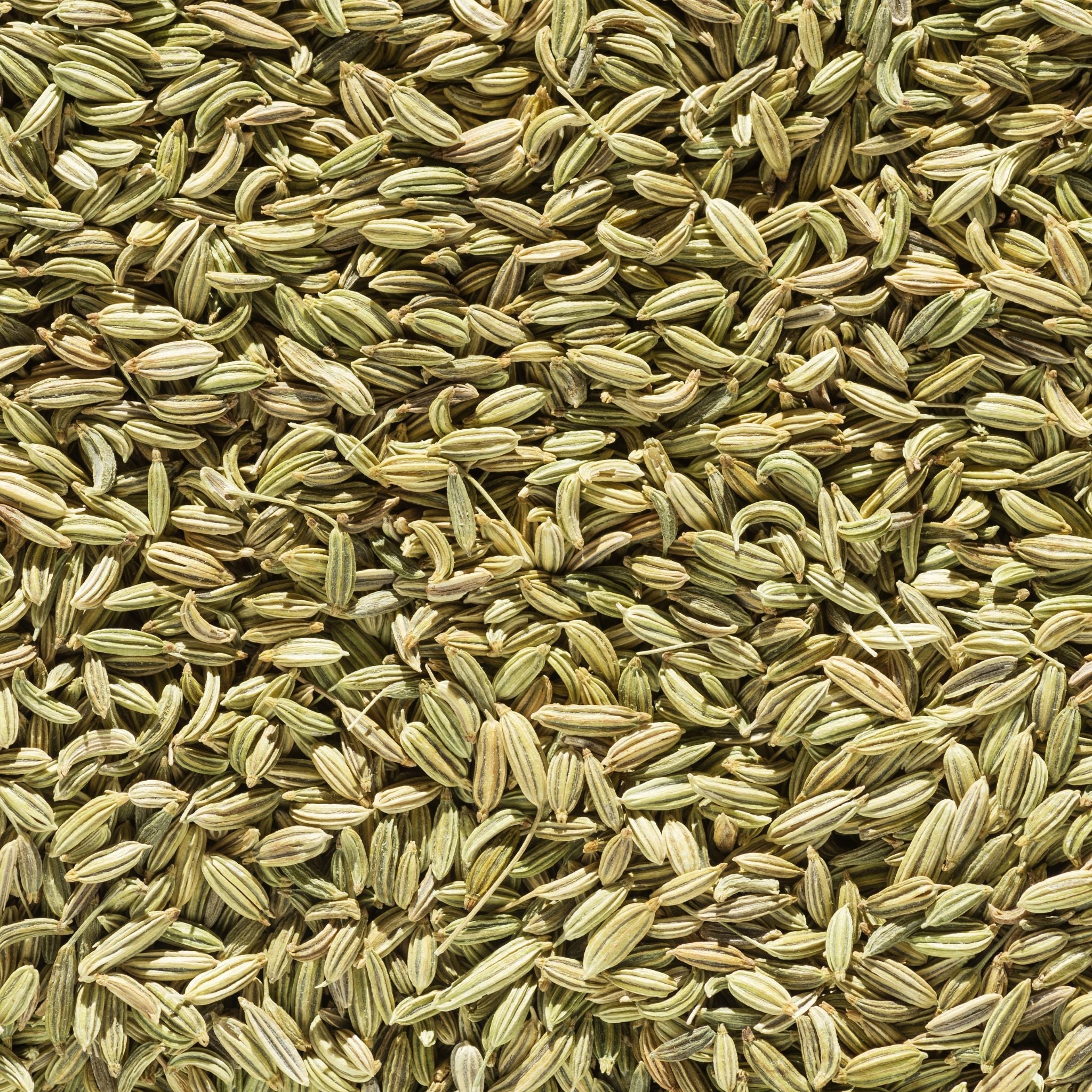 Fenchel Pferd 1kg – Ansicht 2