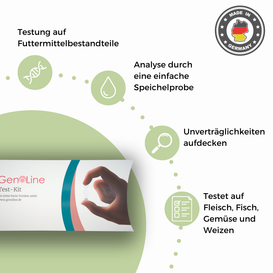 Allergietest Pferd – Ansicht 2