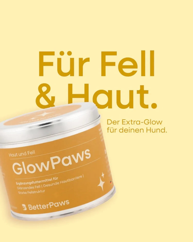 GlowPaws für Hunde – Ansicht 2