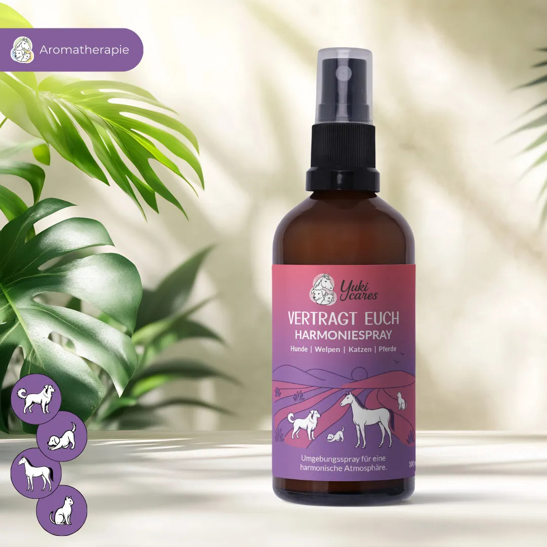 Harmoniespray Vertragt euch – Ansicht 2