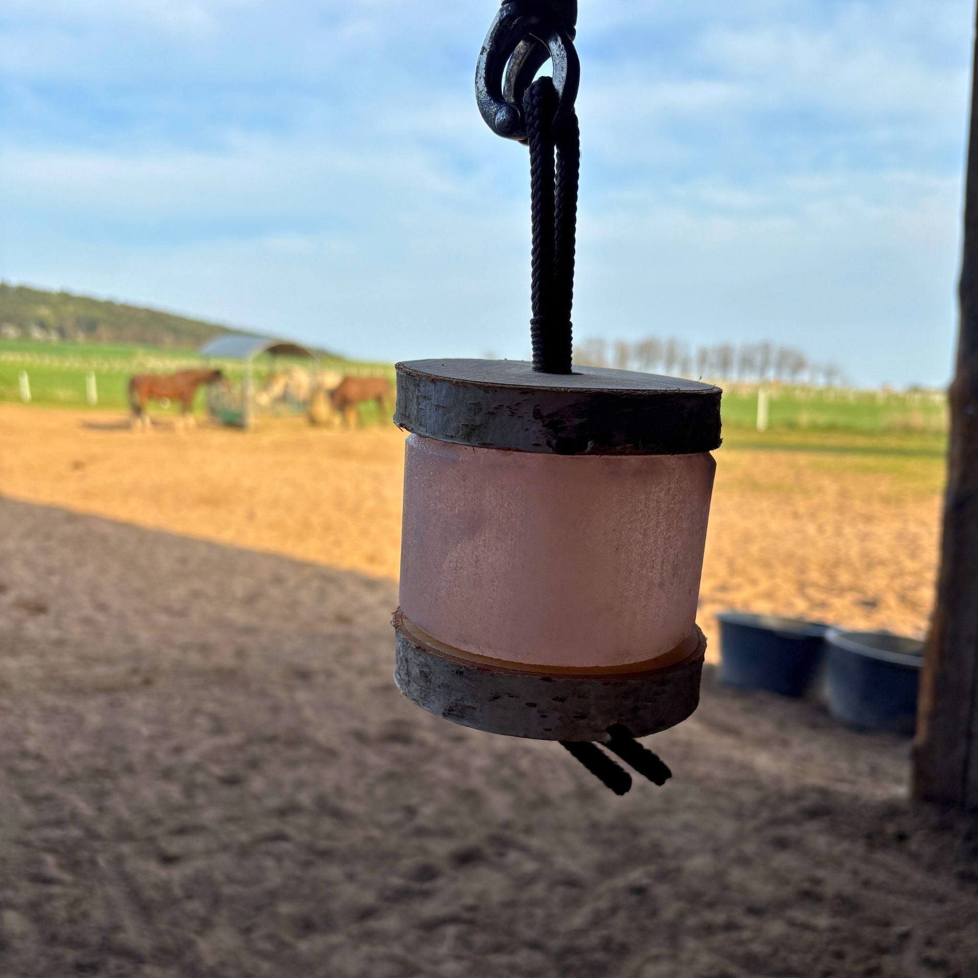 Himalaya-Leckstein Set: Halterung aus Birkenholz und 2 Himalaya Salzlecksteinen für Pferde – Ansicht 2