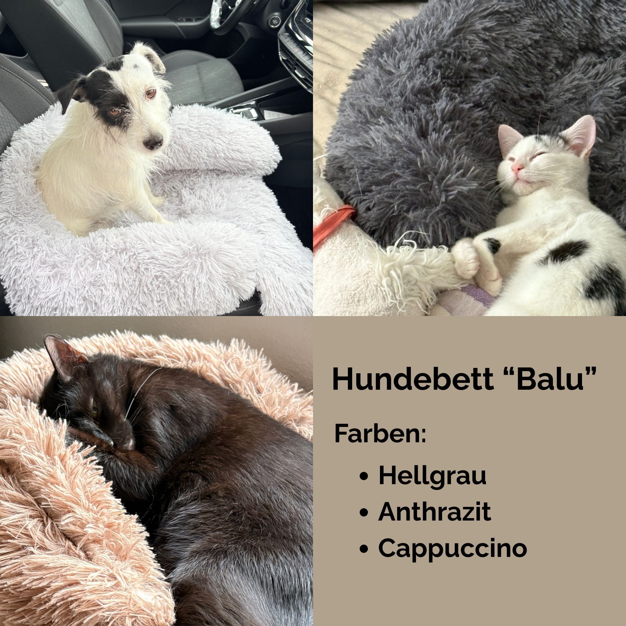 Hundebett "Balu" kuschelig weiche & waschbare Auflage – mit hohem Rand für Auto & Sofa – Ansicht 2