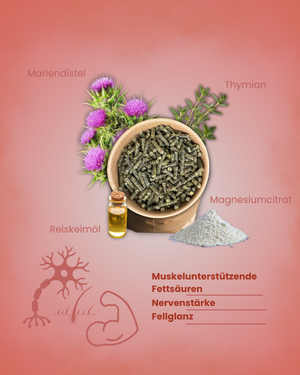 Krähenbusch® Mineralfutter Sport – Ansicht 4