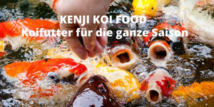 KENJI KOI Daily Koi Food - Für die ganze Saison – Ansicht 6