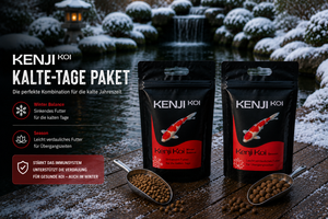 KENJI KOI Kalte Tage Paket – Ansicht 2