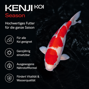 KENJI KOI Season Koifutter – Ansicht 6