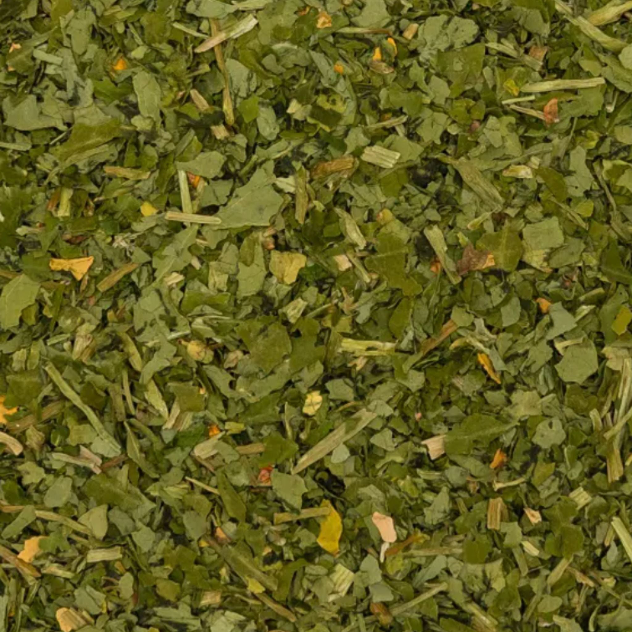 Kapuzinerkresse Pferd 1kg – Ansicht 2