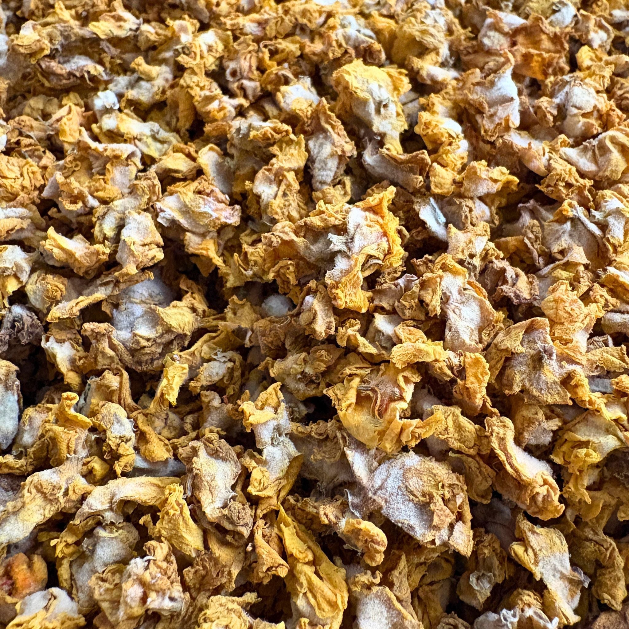Königskerzenblüten Pferd 500g – Ansicht 2