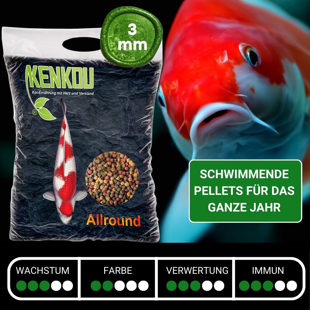 Koifutter 3mm KENKOU® Allround - schwimmend – Ansicht 2