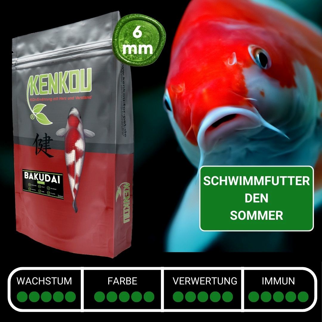 Koifutter 6mm BAKUDAI - schwimmend von KENKOU® – Ansicht 2