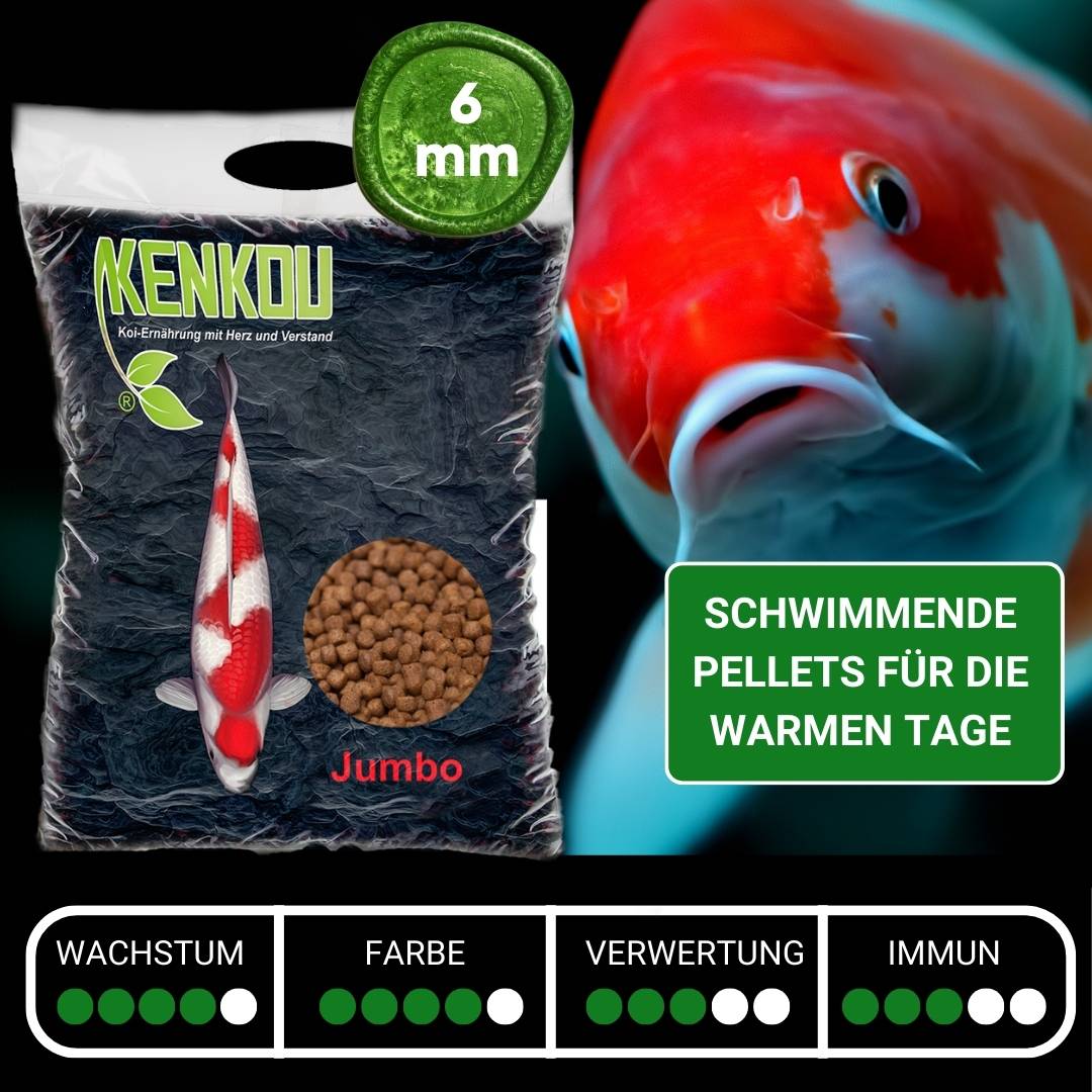 Koifutter KENKOU® JUMBO schwimmend – Ansicht 2