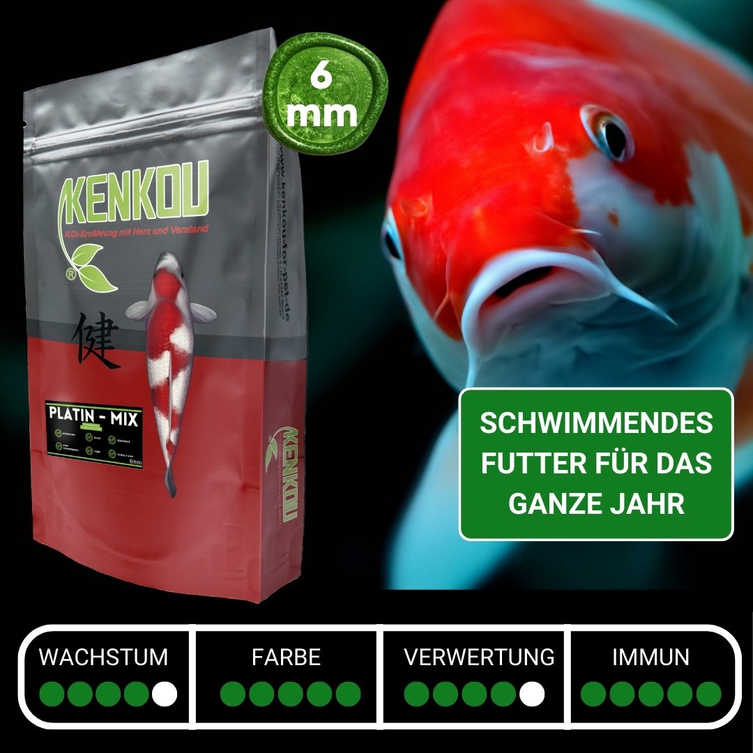 Koifutter Platin Koi-Mix 6mm von KENKOU® - schwimmend – Ansicht 2