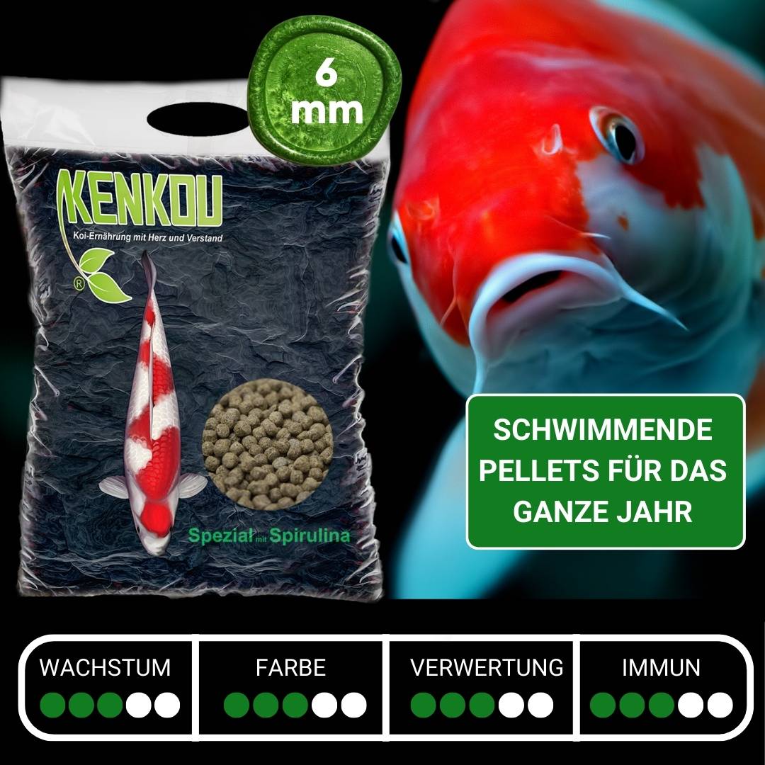 Koifutter 6 mm KENKOU® Spezial mit Spirulina schwimmend – Ansicht 2