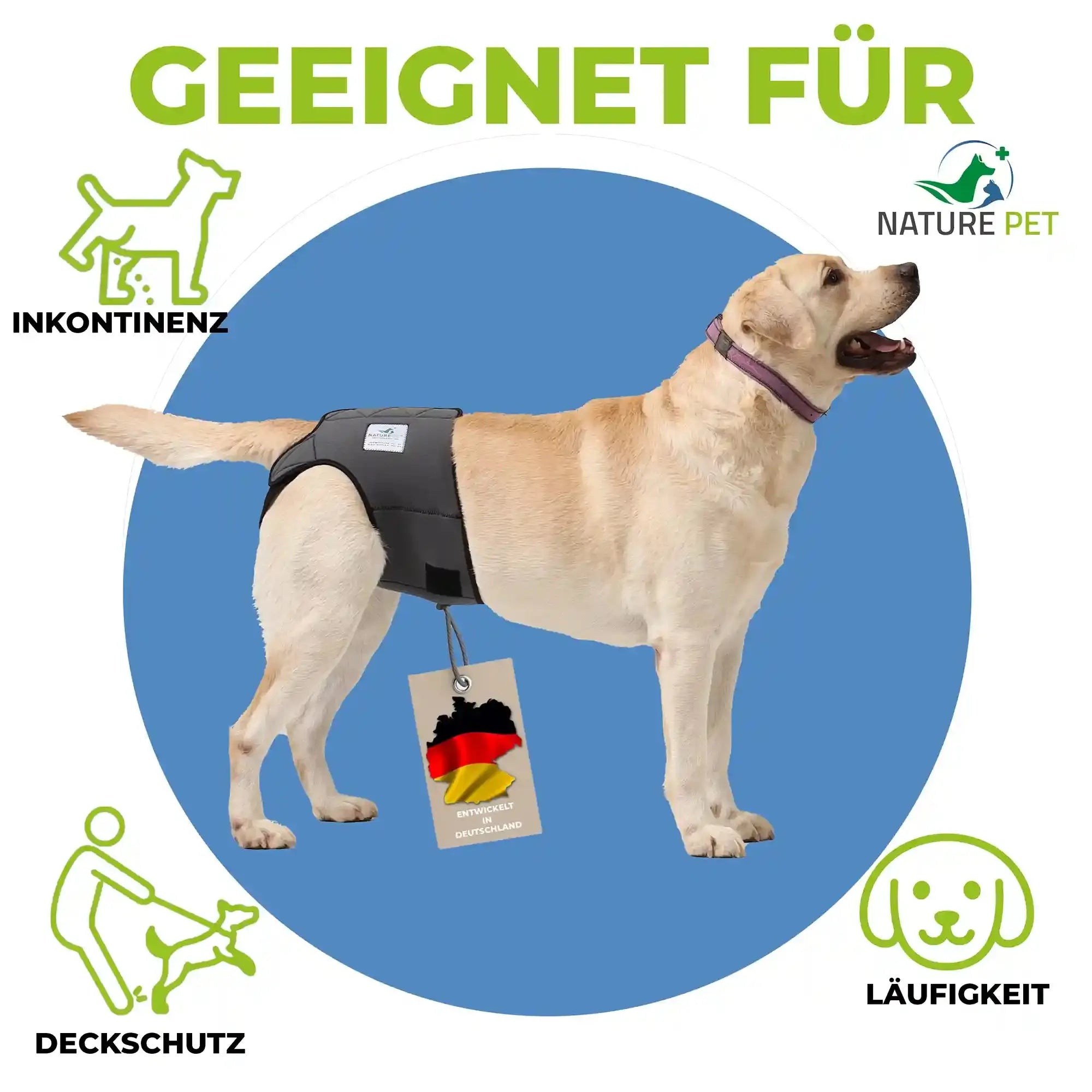 Läufigkeitshose für Hündinnen für Hunde – Ansicht 2
