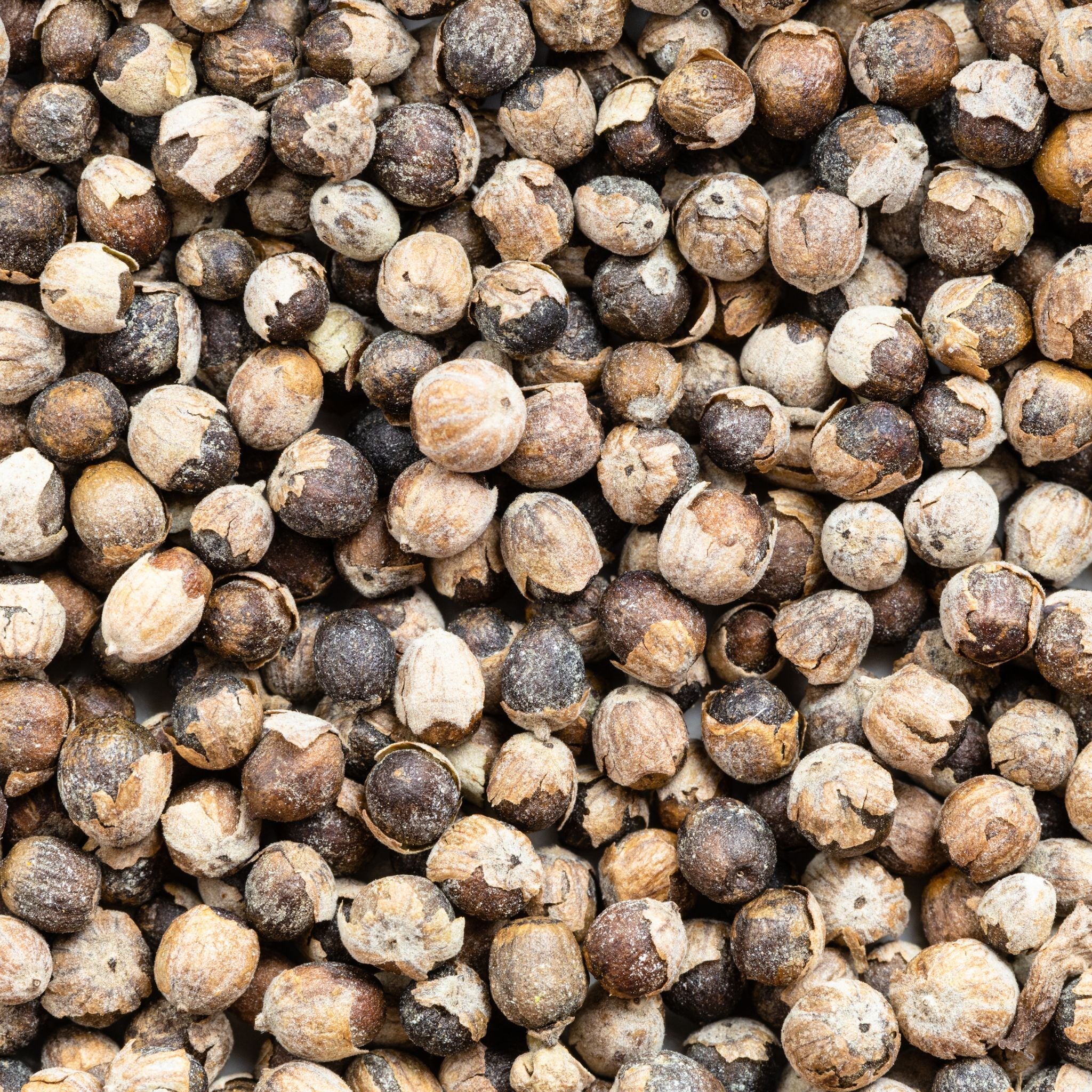 Mönchspfeffer Pferd 1kg – Ansicht 2
