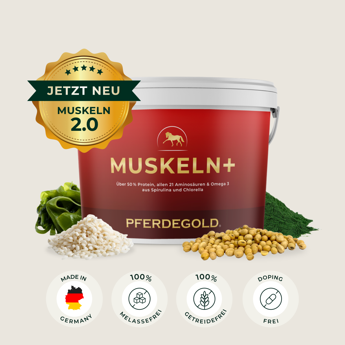 Muskeln+