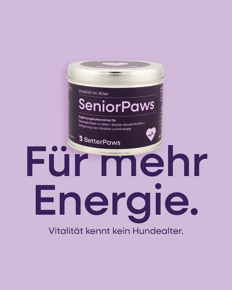 SeniorPaws für Hunde – Ansicht 2