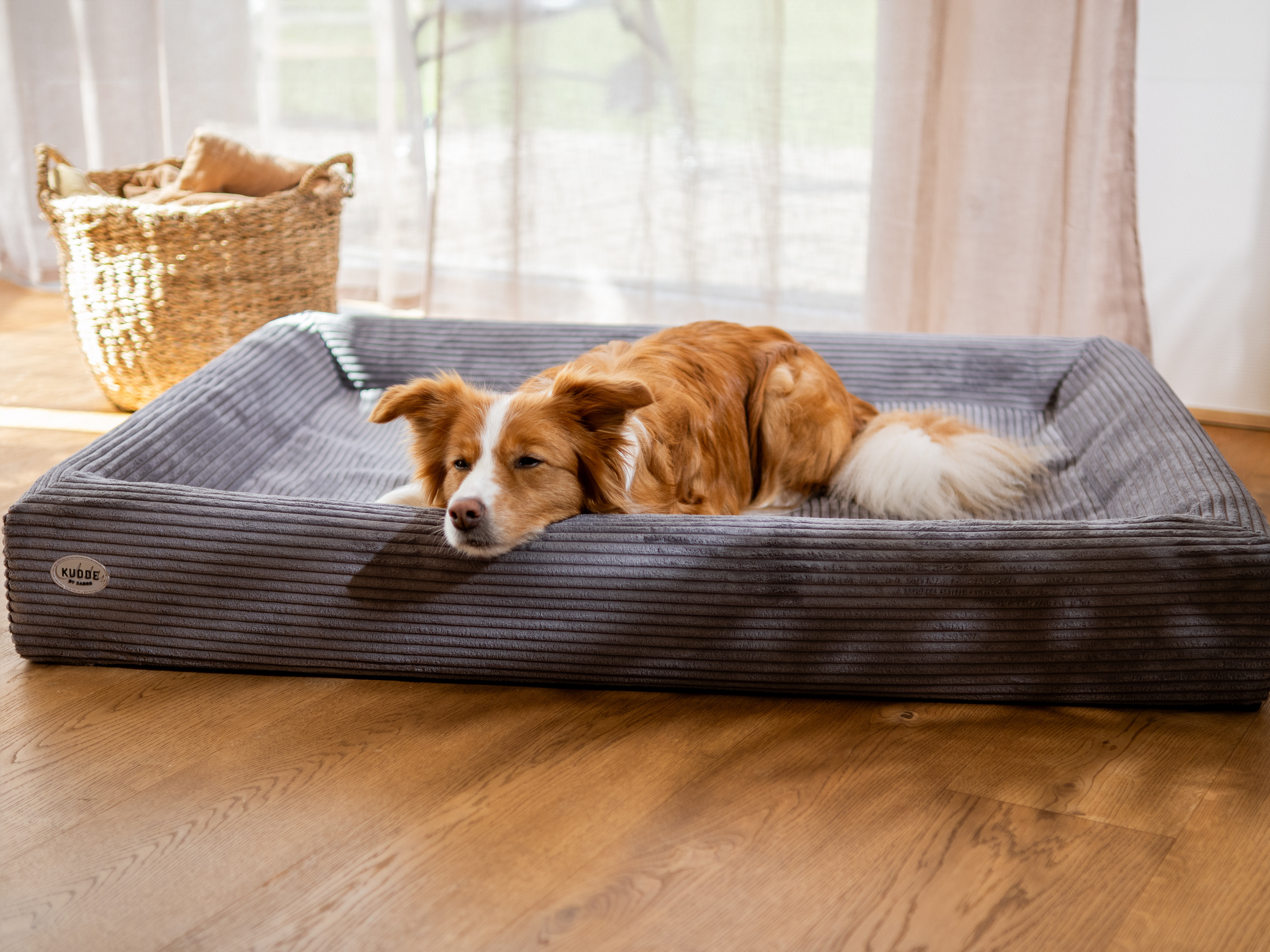 Bezug für KUDDE Cord für Hunde – Ansicht 2