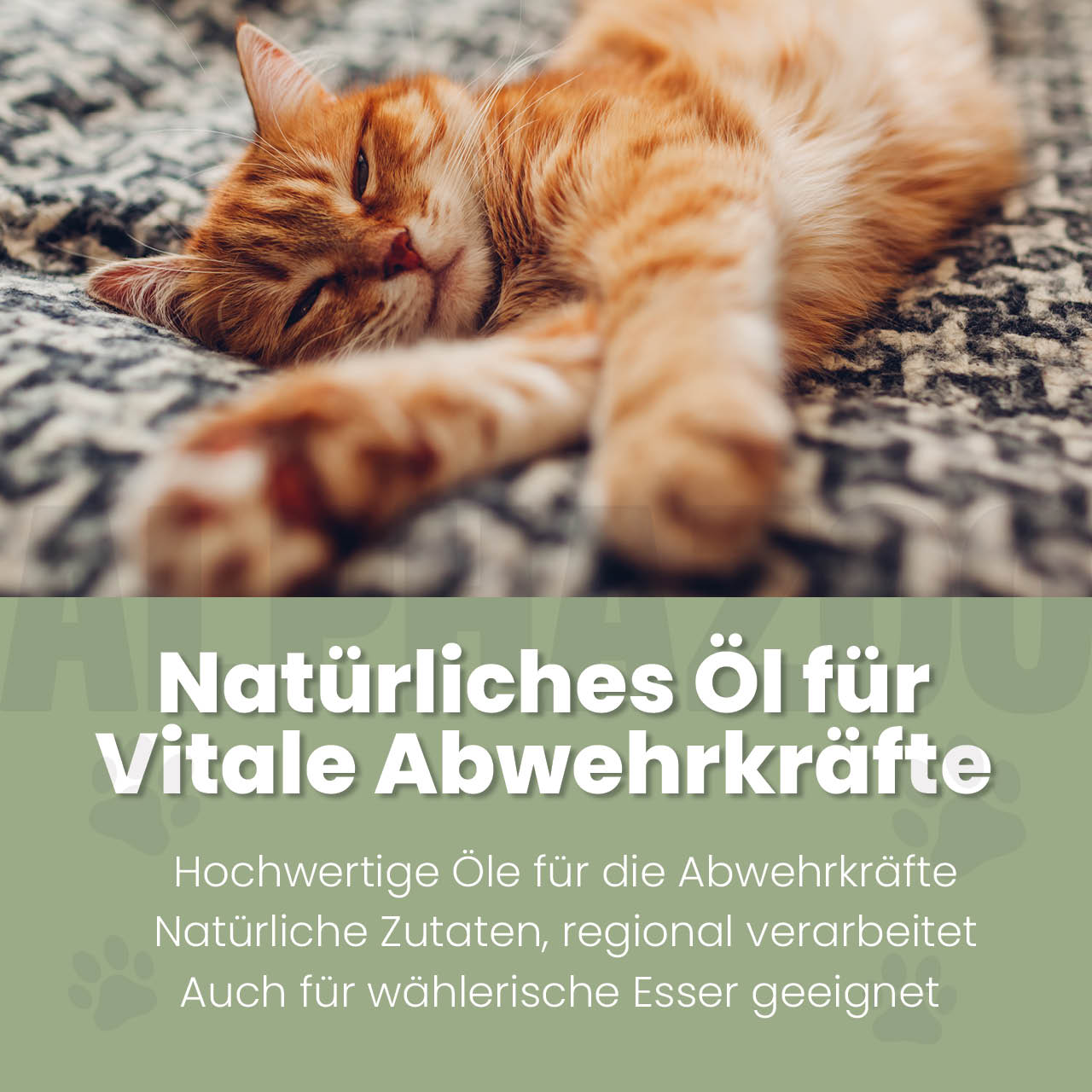 Alpha-Immun Futteröl für Katzen – Ansicht 2
