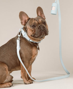 Poop Bag Carrier Set – Ansicht 25