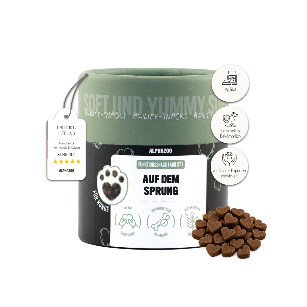 Auf Dem Sprung für Hunde – Ansicht 2