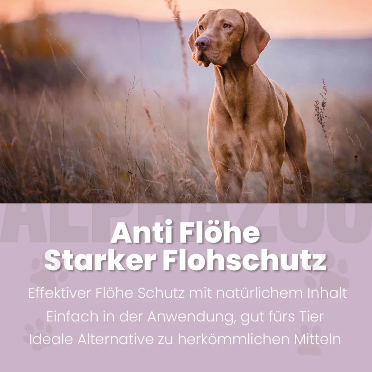 ByeByeVloh Spot-On für Hunde – Ansicht 2