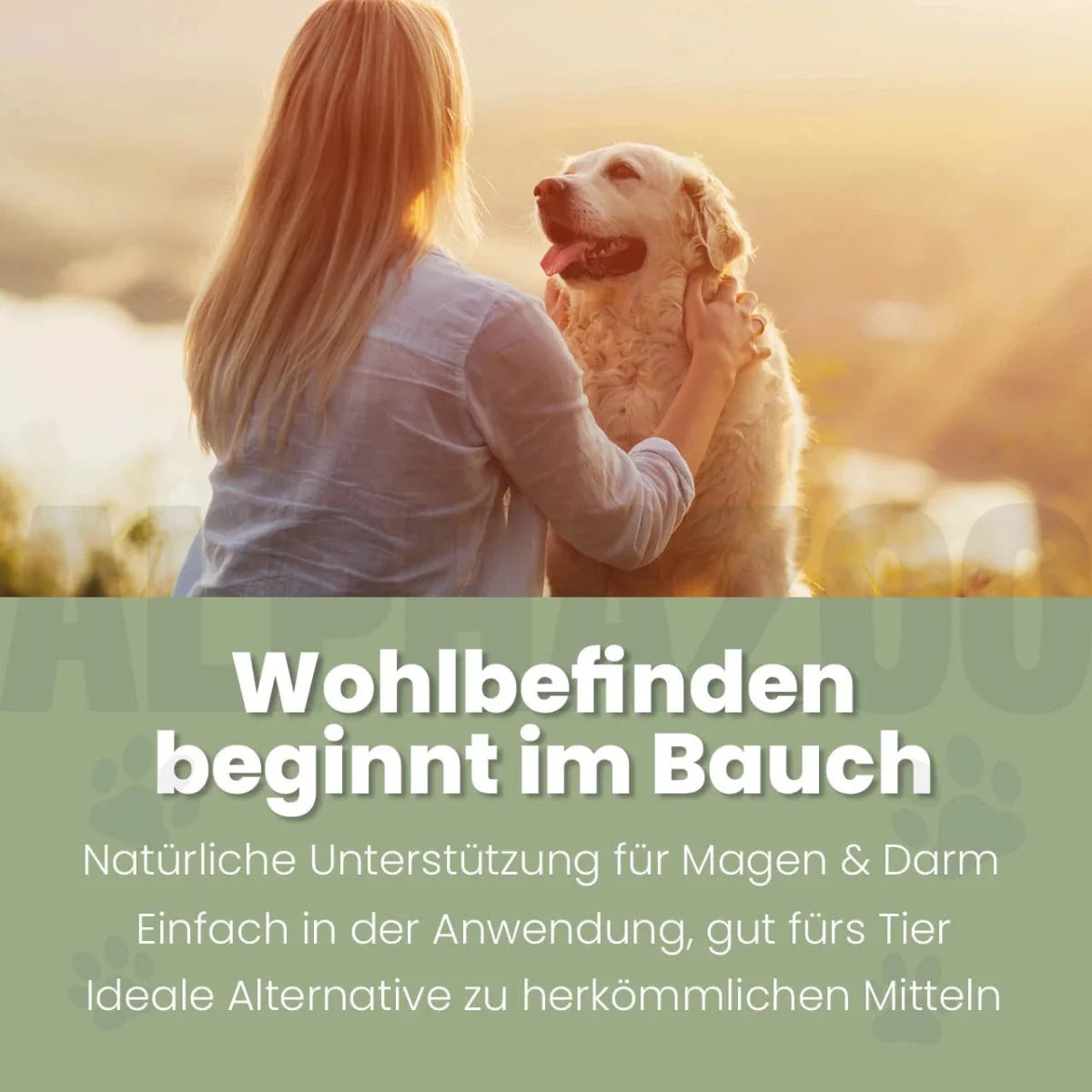 Darmonie Liquid für Hunde – Ansicht 2