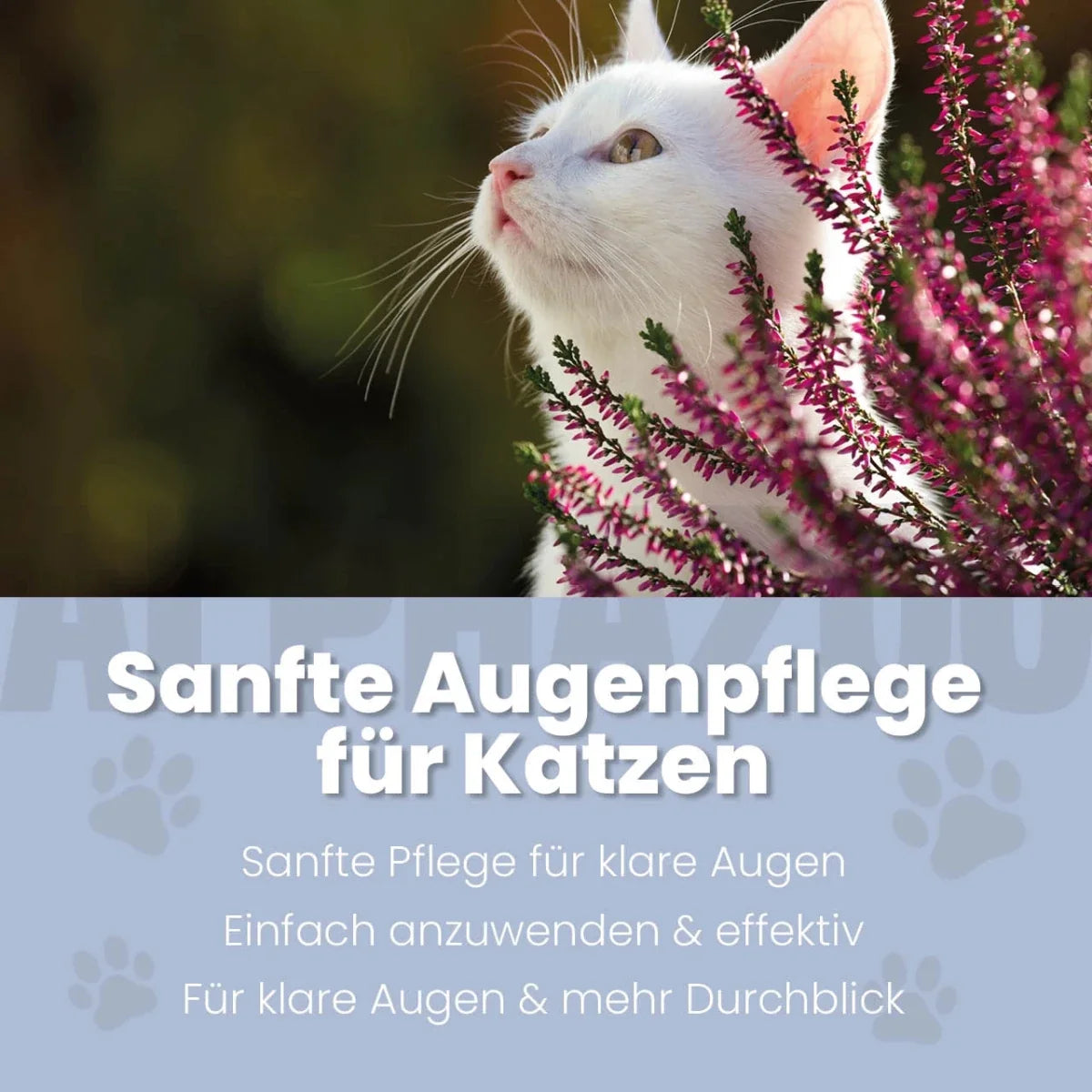 Durchblick Augenpflege für Katzen – Ansicht 2