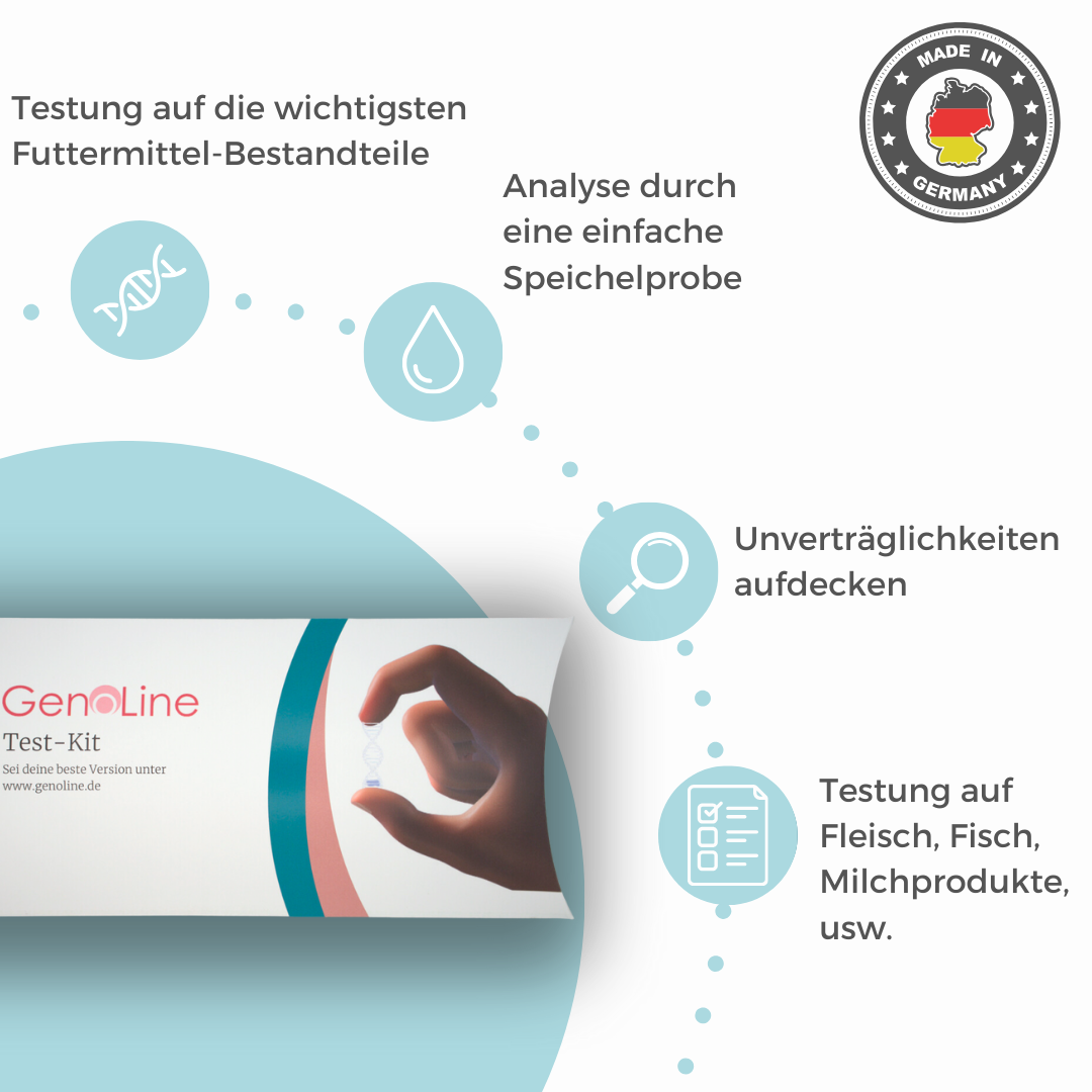 Allergietest Katze – Ansicht 2