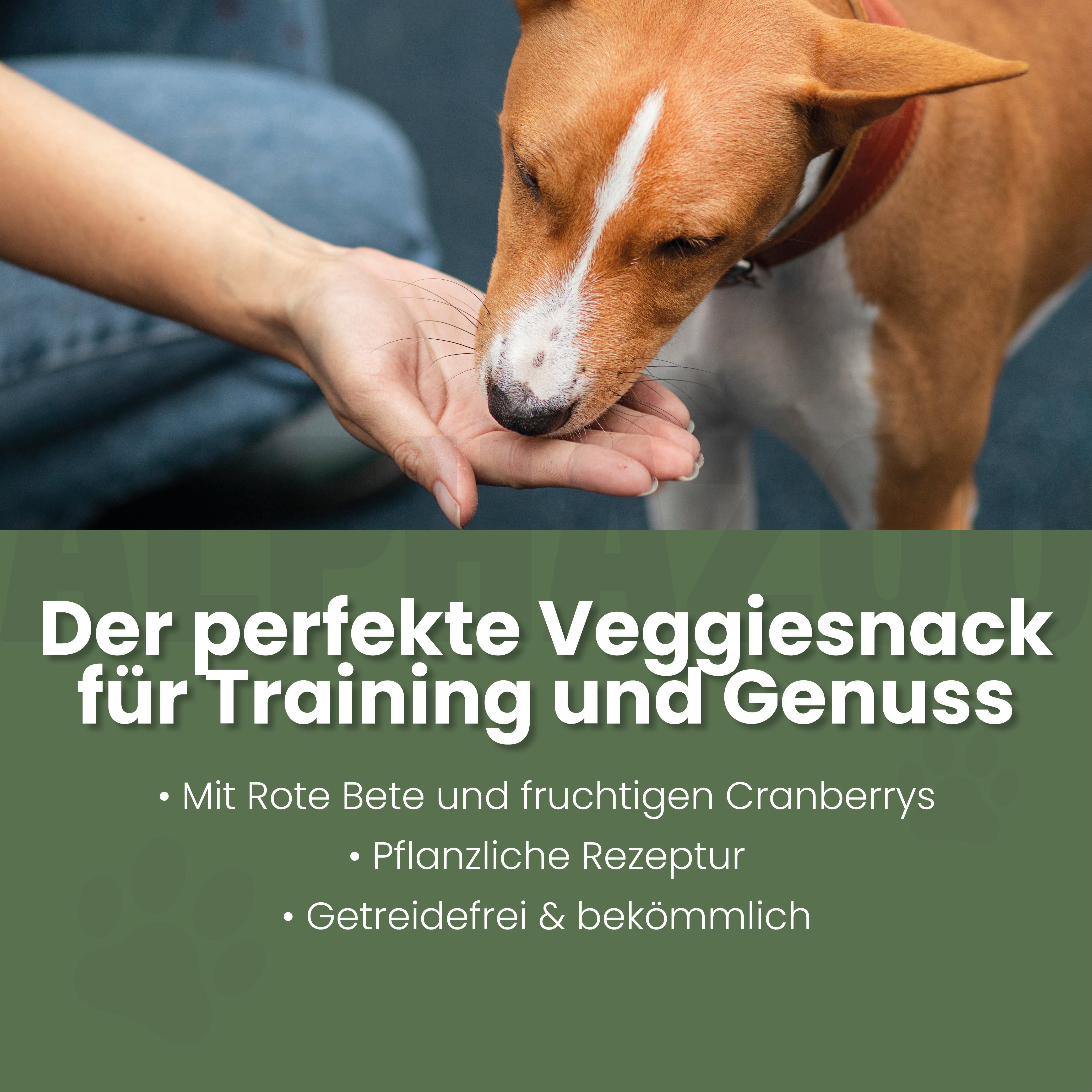 Grüner wird's nicht für Hunde – Ansicht 2