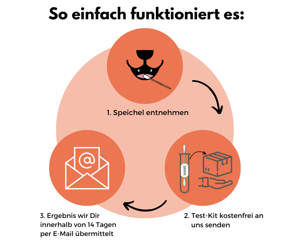 Allergietest Hund – Ansicht 2