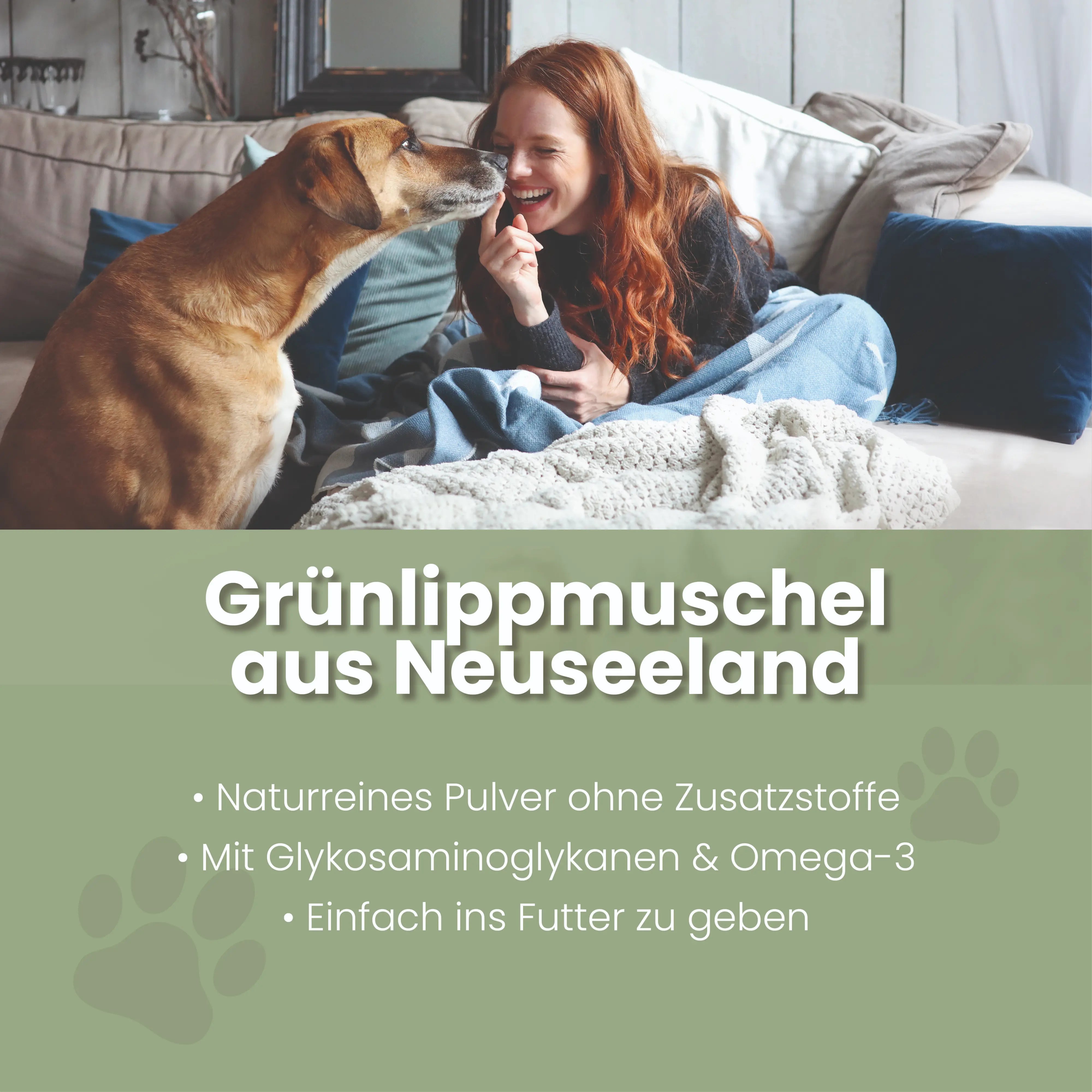 Grünlippmuschel-Pulver für Hunde – Ansicht 2