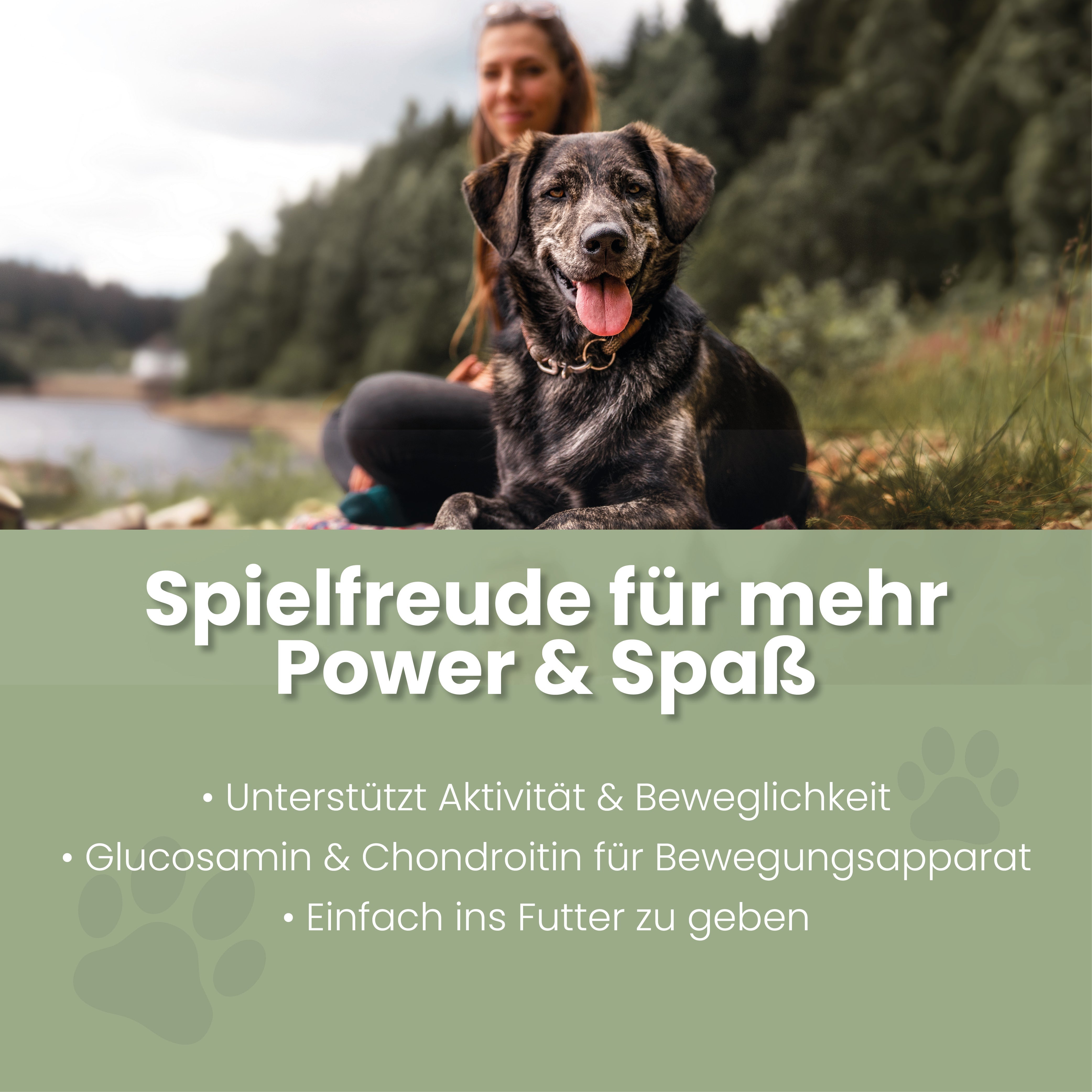 Spielfreude Tabletten für Hunde – Ansicht 2