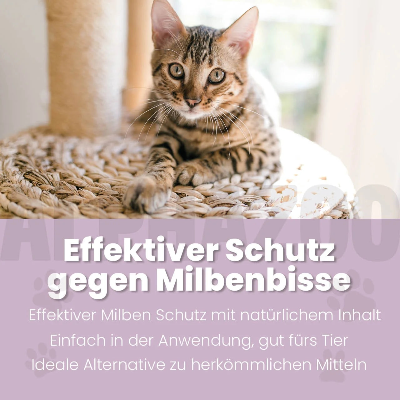 MilbHunter Spot-On für Katzen – Ansicht 2
