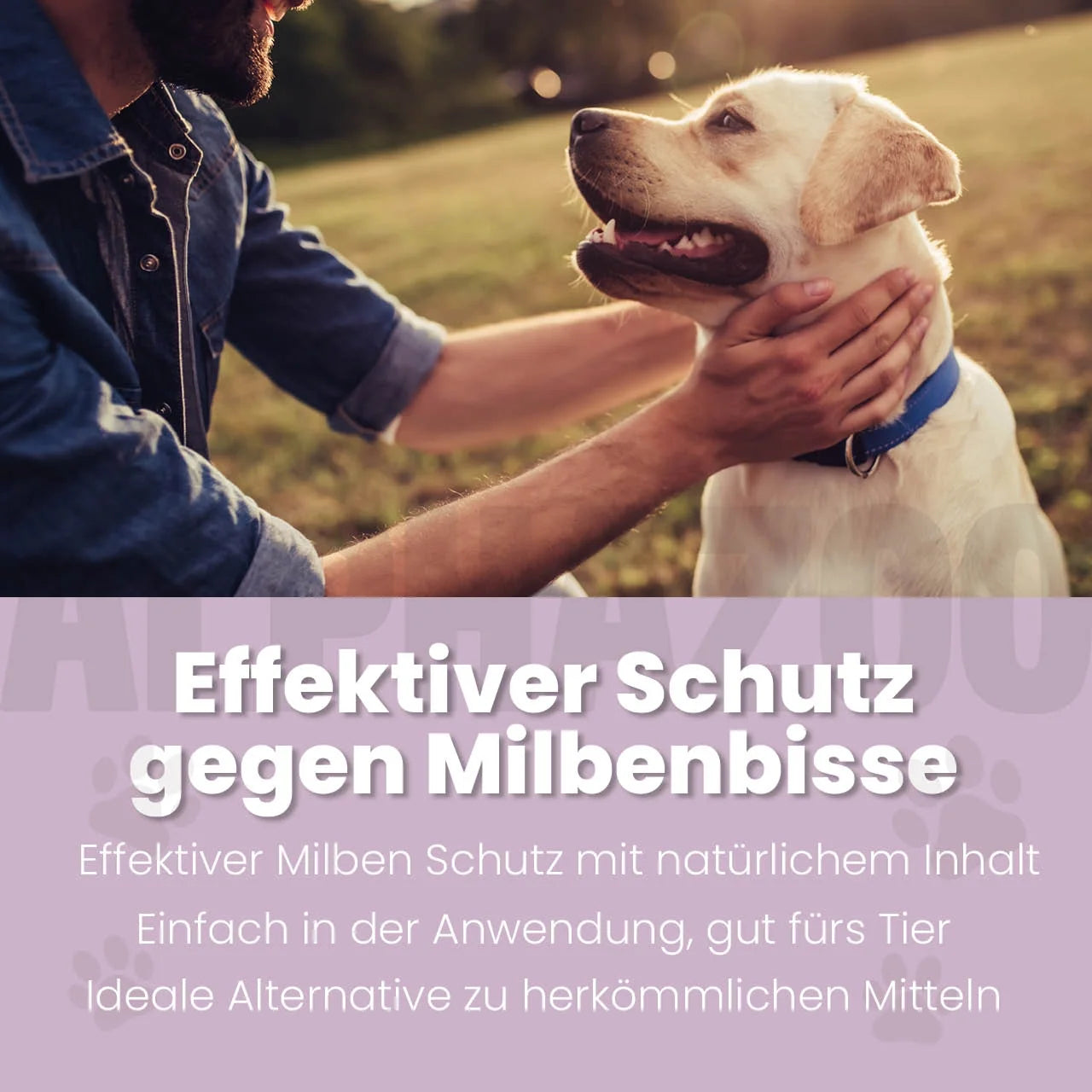 MilbHunter Spot-On für Hunde – Ansicht 2