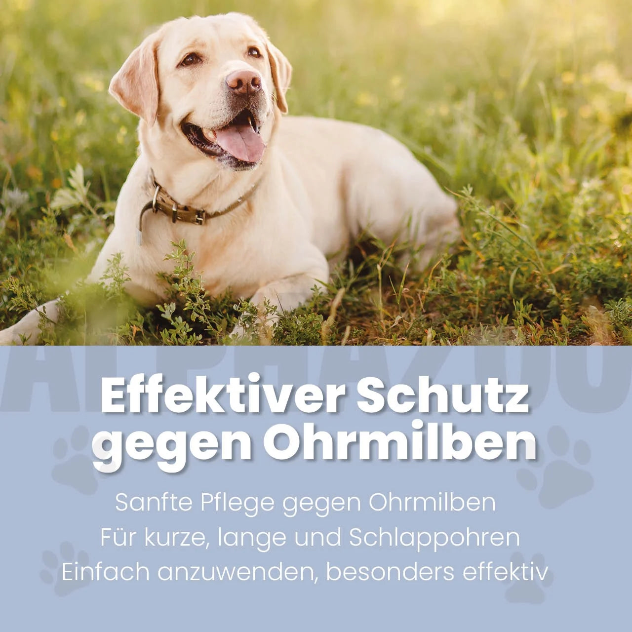 Ohrmilbenöl für Hunde – Ansicht 2