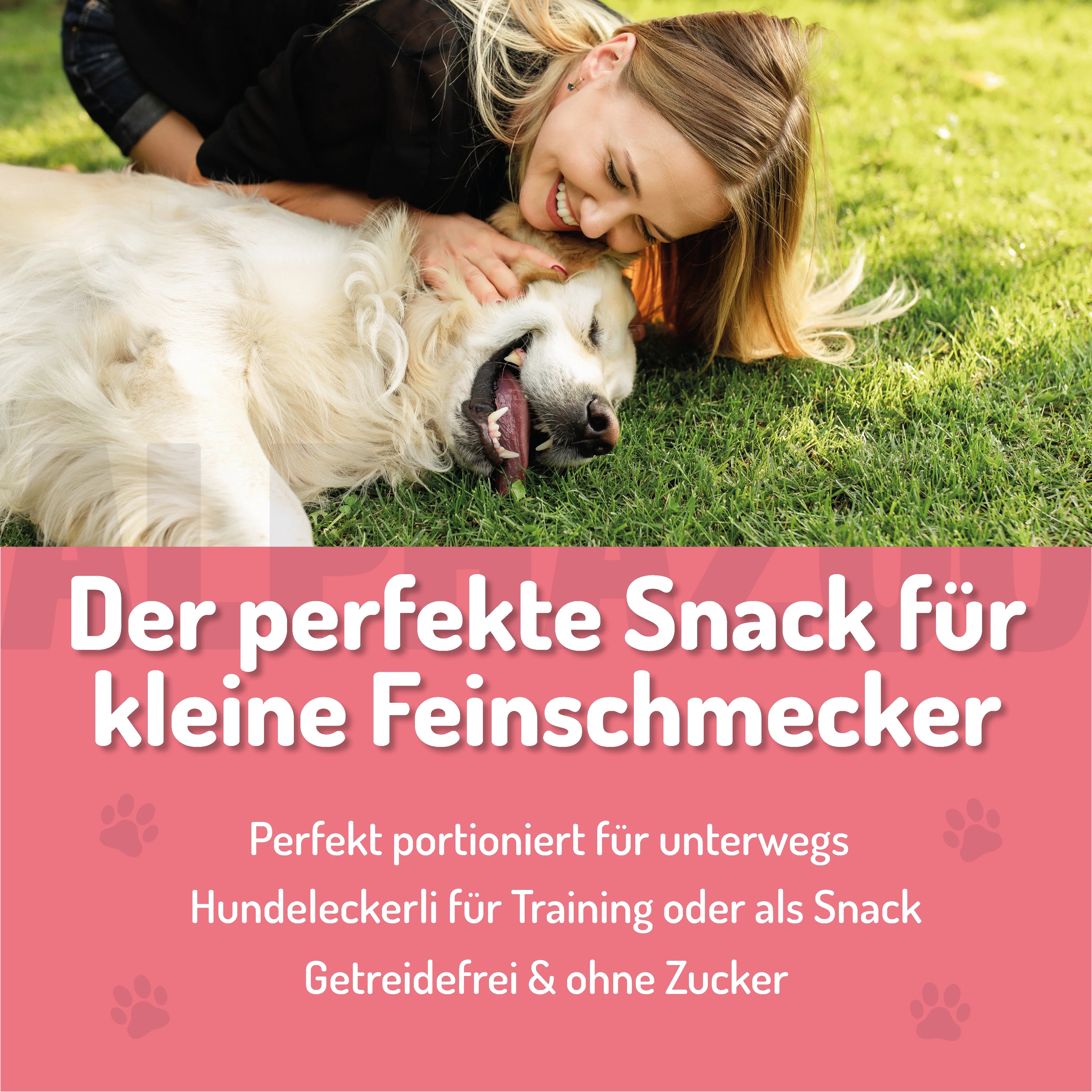 Probierset Leckerli Hund – Ansicht 2