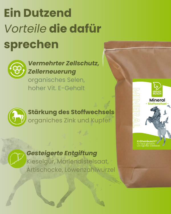 Krähenbusch® Mineral Stoffwechsel – Ansicht 2