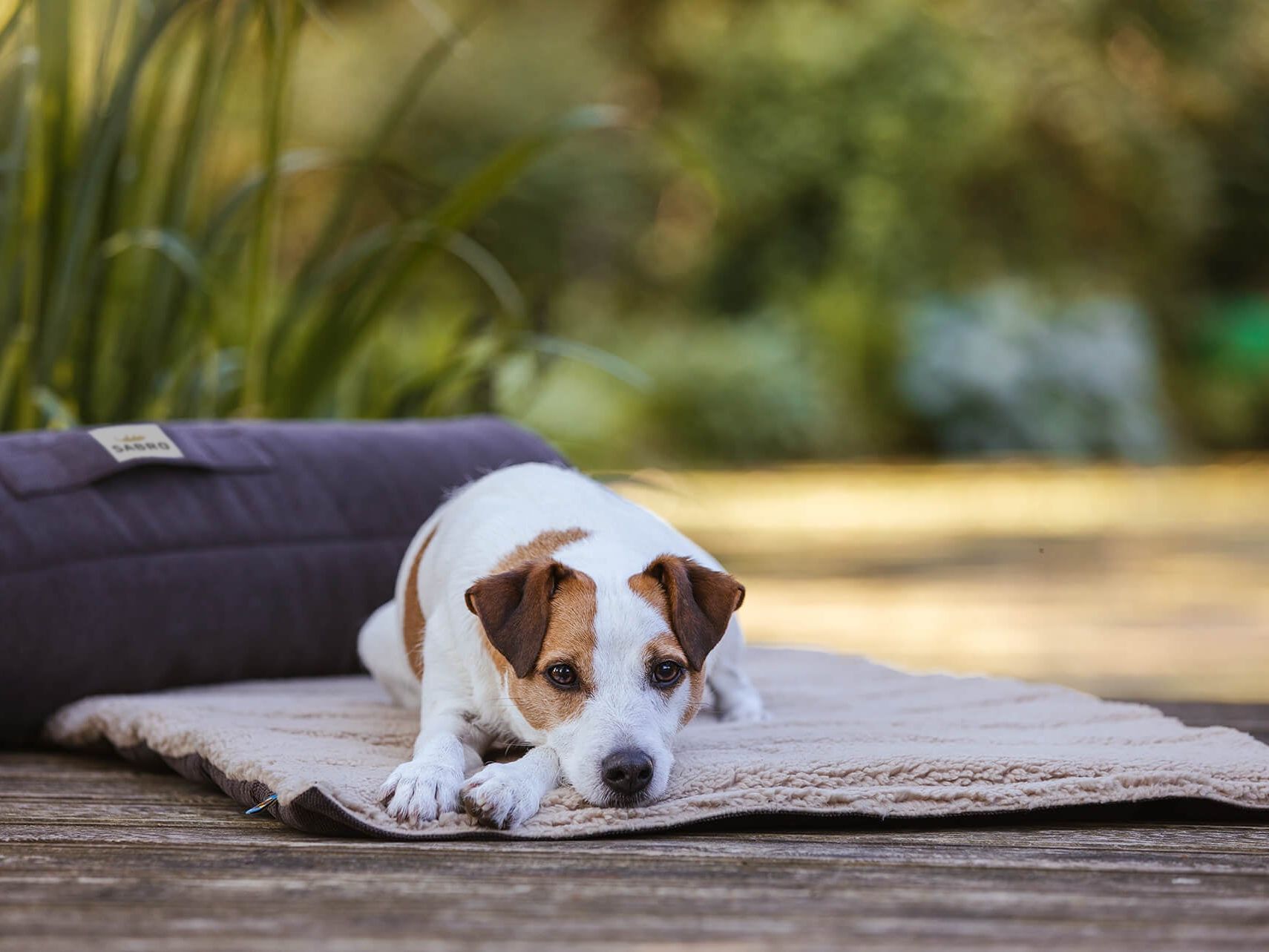 Reisematte RESOR für Hunde – Ansicht 2