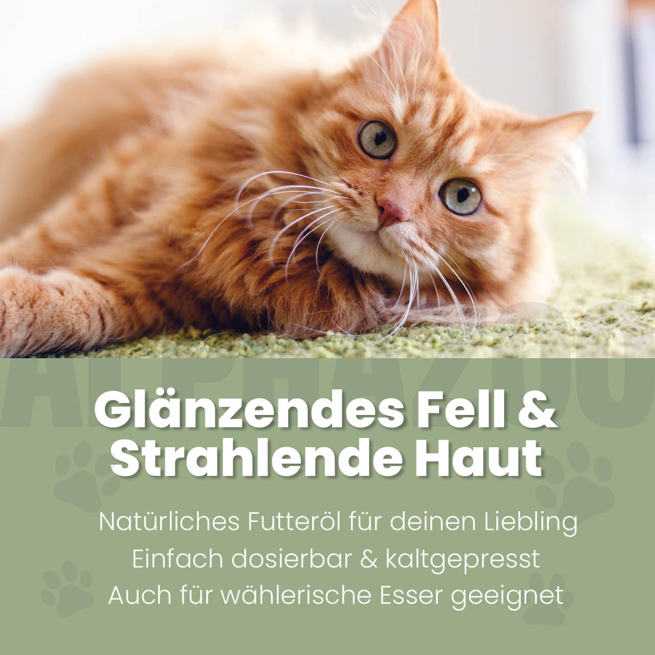 Seelenruhe Futteröl für Katzen – Ansicht 2